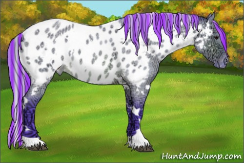Horse Color:Painted Watercolor White Spotted Silver Brown Ice Roan Dun Appaloosa 