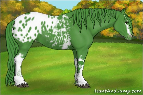Horse Color:Watercolor White Spotted Black Appaloosa 