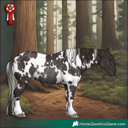 Horse Color:White Spotted Liver Chestnut Rabicano 
