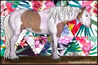 Horse Color:Chocolate Palomino Splash Tobiano 