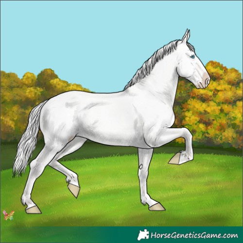 Horse Color:Silver Perlino Dun Splash