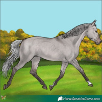 Horse Color:Platinum Silver Brown Dun 
