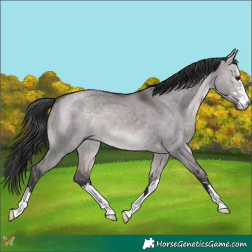 Horse Color:Platinum Bay Dun