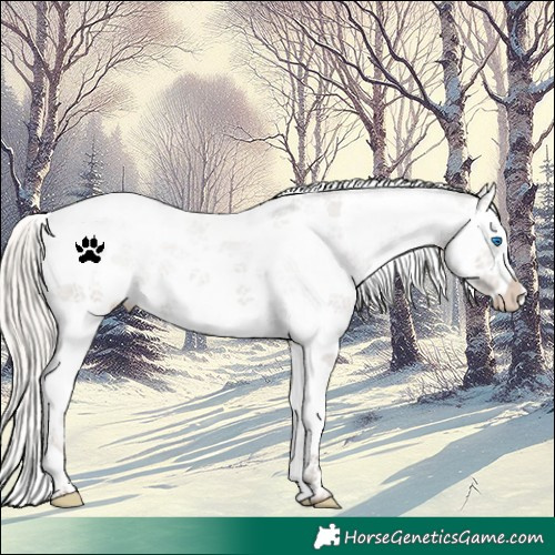 Horse Color:Silver Grullo Sabino Splash Varnish 