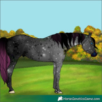 Horse Color:ERROR: UNKNOWN ANOMALY