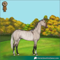 Horse Color:Liver Red Dun Roan Mushroom Rabicano 