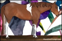 Horse Color:Chestnut Tobiano