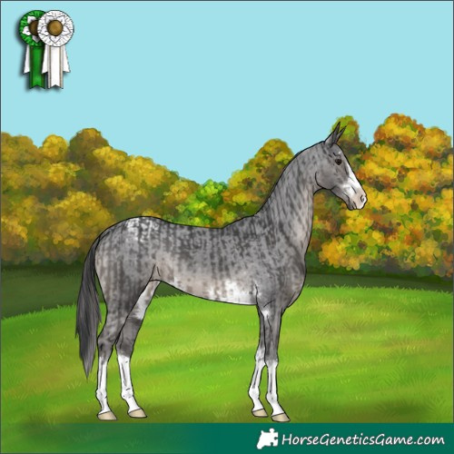 Horse Color:Black and Smoky Black Varnish