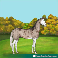 Horse Color:Liver Red Dun Mushroom Splash Brindle 