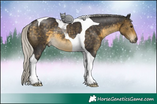 Horse Color:Silver Buckskin Tobiano Rabicano 