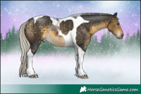 Horse Color:Silver Buckskin Tobiano Rabicano 