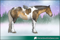 Horse Color:Silver Buckskin Tobiano Rabicano 