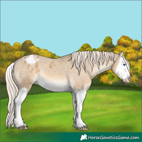 Horse Color:Chocolate Palomino Dun Splash Varnish