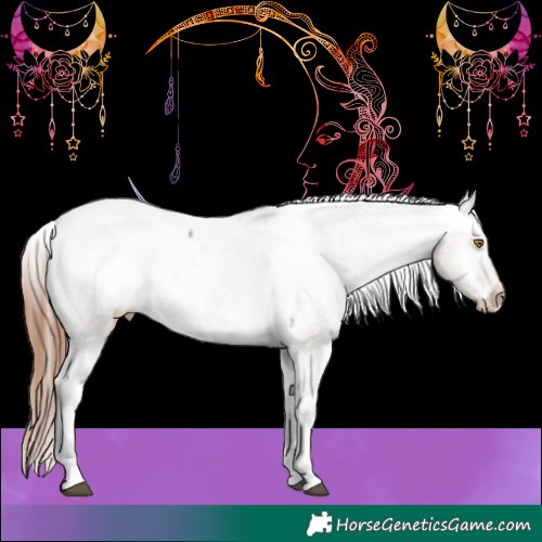 Horse Color:Brown Dun Tobiano Snowcap 