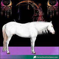 Horse Color:Brown Dun Tobiano Snowcap 
