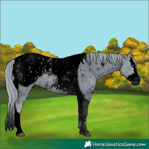 Horse Color:ERROR: UNKNOWN ANOMALY