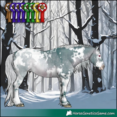 Horse Color:Watercolor White Spotted Silver Brown Chinchilla Dun Splash Tobiano 