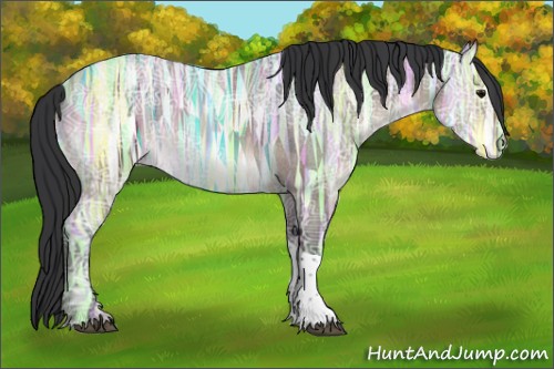 Horse Color:Brown Ice Dun Sabino Tobiano Rabicano 