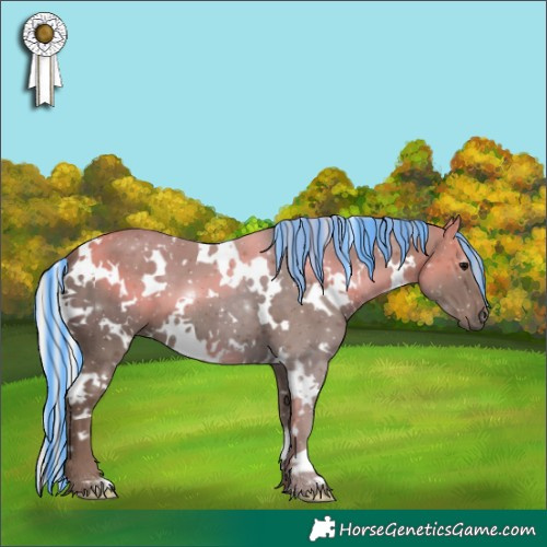 Horse Color:Painted White Spotted Silver Black 