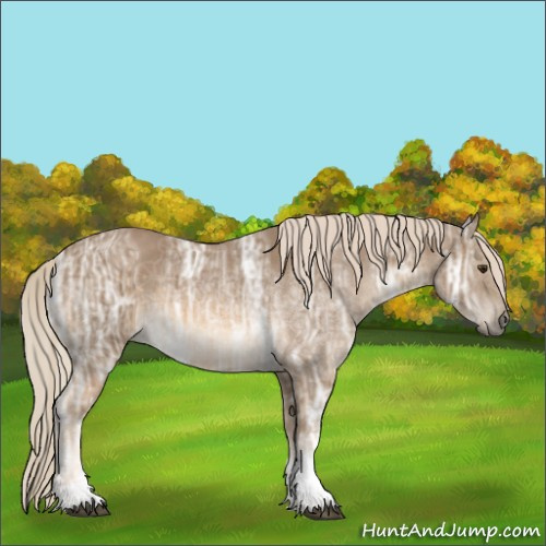 Horse Color:Chocolate Palomino Ice Sabino Tobiano Rabicano 