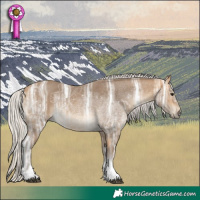 Horse Color:Silver Buckskin Ice Sabino Tobiano Rabicano