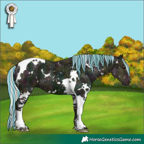 Horse Color:Painted White Spotted Midnight Silver Black Ice Tobiano 