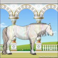 Horse Color:Silver Buckskin Ice Dun Sabino Rabicano 