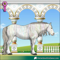 Horse Color:Silver Buckskin Ice Dun Sabino Rabicano 