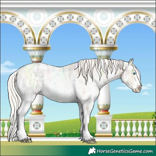 Horse Color:Silver Buckskin Ice Pearl Sabino 