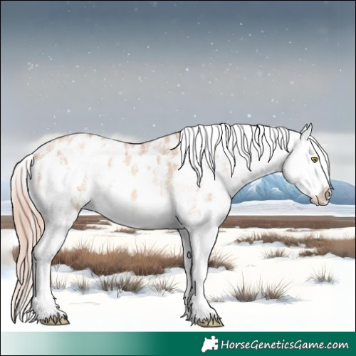 Horse Color:Gold Champagne Ice Dun Sabino Near Leopard 