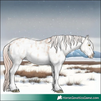 Horse Color:Gold Champagne Ice Dun Sabino Appaloosa 