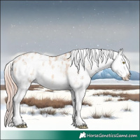 Horse Color:Gold Champagne Ice Dun Sabino Near Leopard 