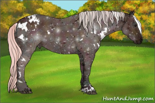 Horse Color:White Spotted Midnight Silver Bay Ice 