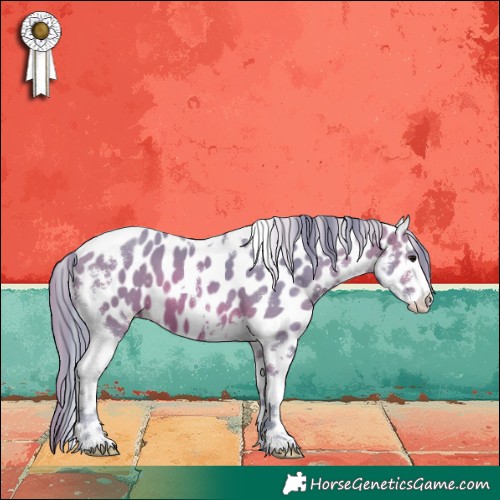 Horse Color:Watercolor Brown Sabino Tobiano Appaloosa 
