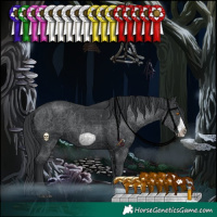 Horse Color:Black Frame 