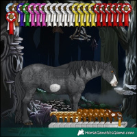 Horse Color:Black Frame 