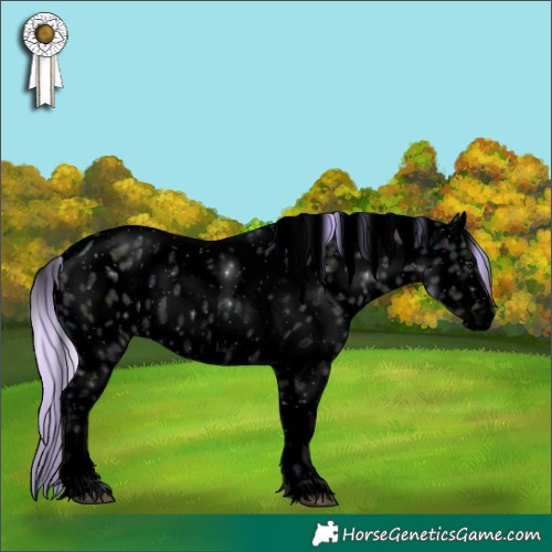 Horse Color:Void Watercolor Midnight Silver Brown Ice Dun Sabino Tobiano Appaloosa 