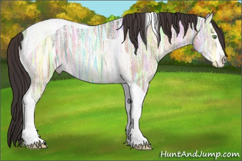 Horse Color:Sable Champagne Ice Sabino Tobiano 
