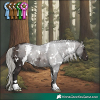 Horse Color:White Spotted Silver Brown Rabicano 