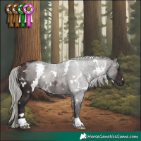 Horse Color:White Spotted Silver Brown Rabicano