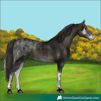 Horse Color:Void Smoky Blue Onyx Ice Roan 