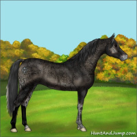 Horse Color:Void Blue Onyx Ice Roan 