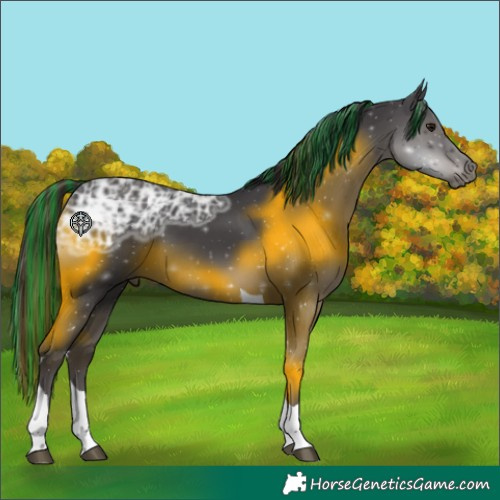 Horse Color:Painted Smoky Black Ice Tobiano 