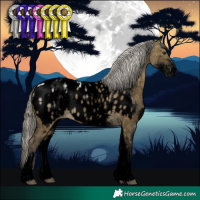 Horse Color:Void White Spotted Silver Buckskin Ice Dun Tobiano Near Leopard 