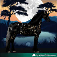 Horse Color:Void White Spotted Silver Buckskin Ice Dun Tobiano Near Leopard 