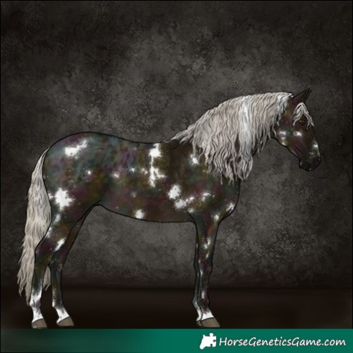 Horse Color:White Spotted Midnight Silver Buckskin Ice Dun