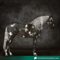 Horse Color:White Spotted Midnight Silver Buckskin Ice Dun 