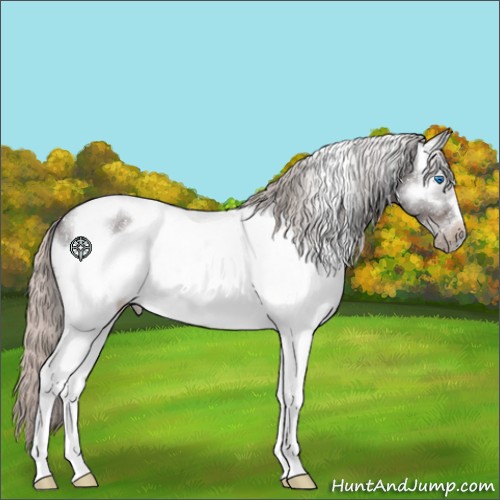 Horse Color:White Spotted Silver Brown Ice Tobiano Frame 