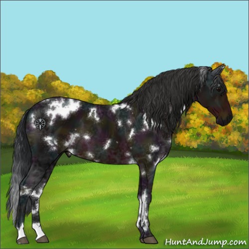 Horse Color:White Spotted Midnight Brown Ice 