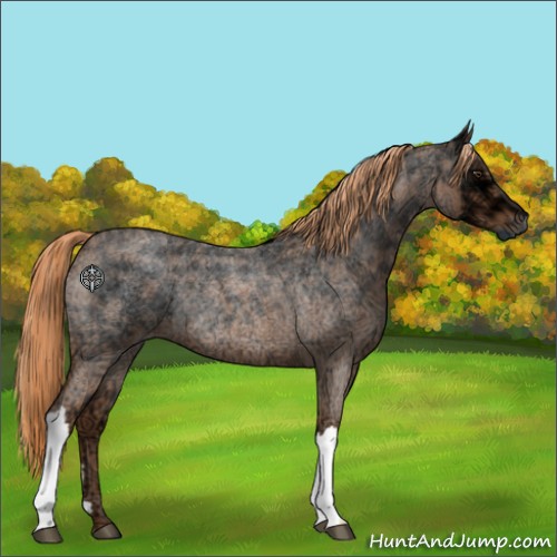 Horse Color:Red Ice Roan Rabicano 